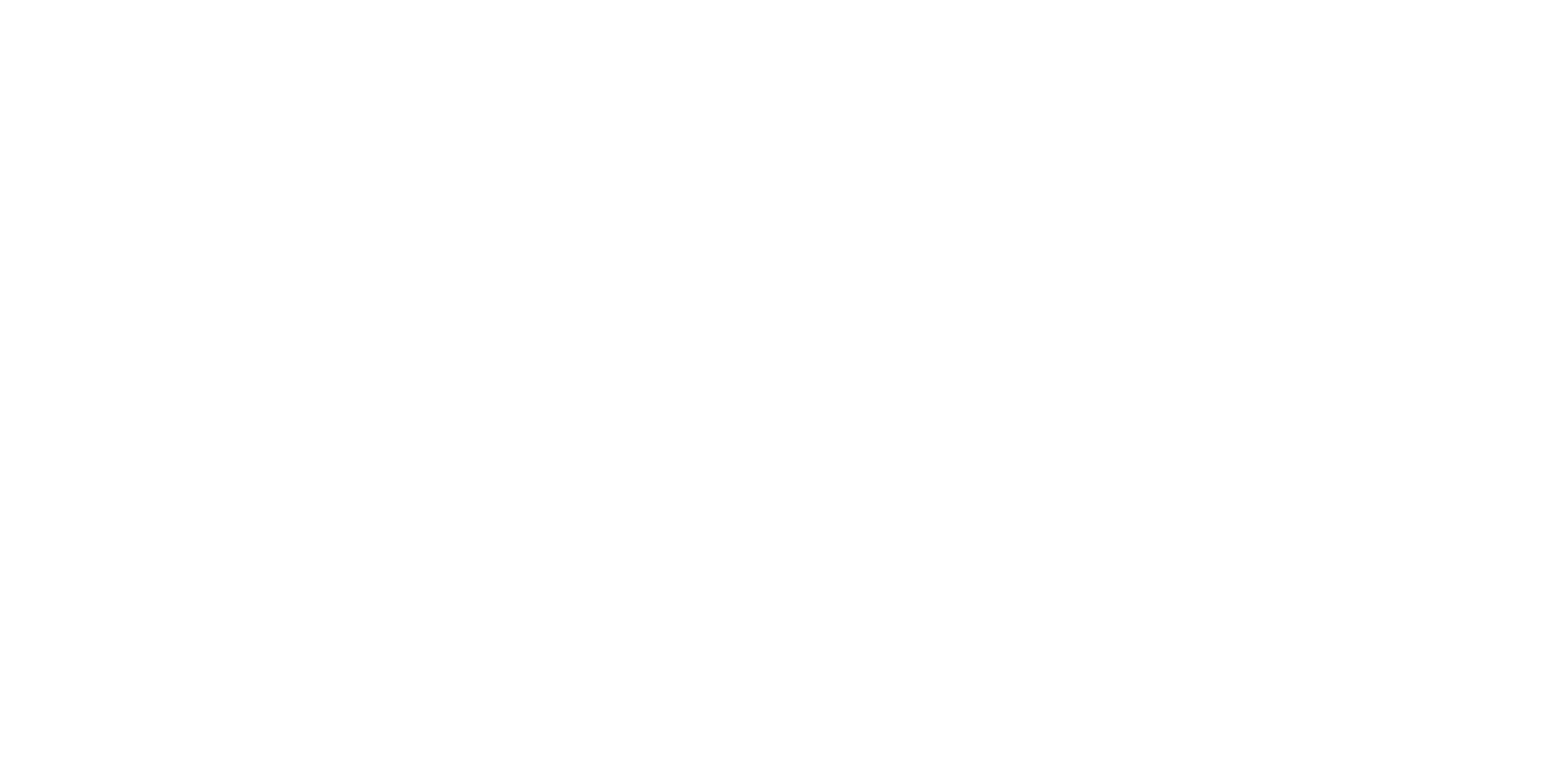 momax-wearsense-store-logo-white
